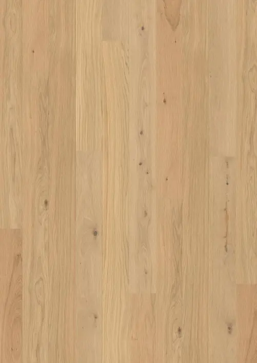 BOEN Tammi Animoso, Lankku