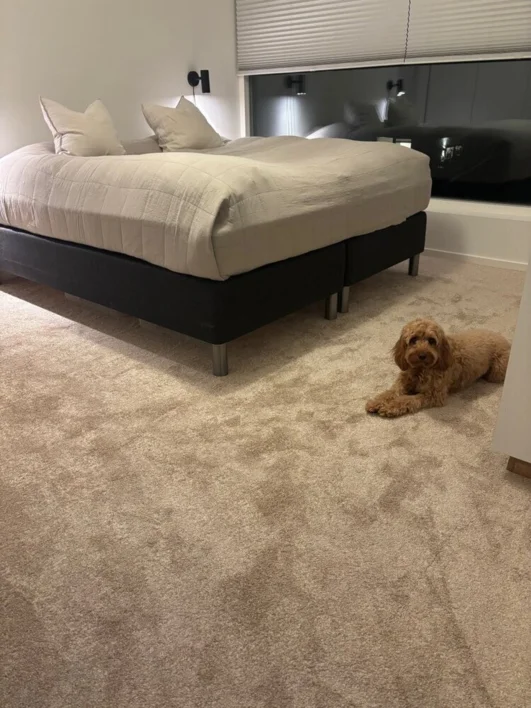 Ambassador luv ylellinen matonlaatta - Beige