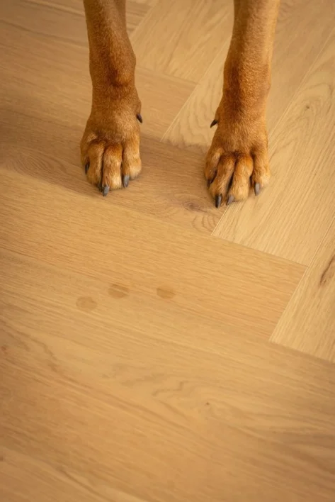 Moland Super Tammi Wideplank - Avon Natural Oak