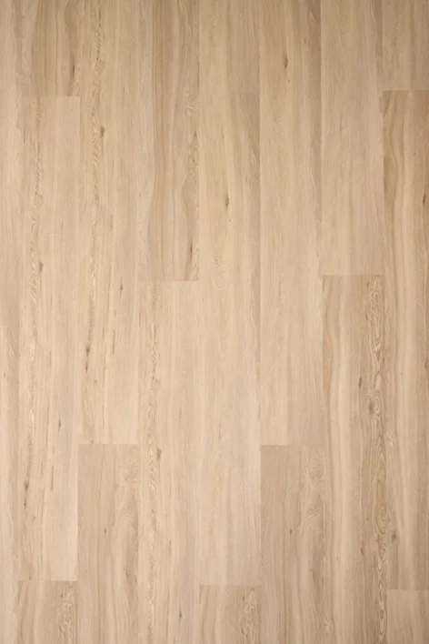 Timberman Novego Pro - Windsor Soft