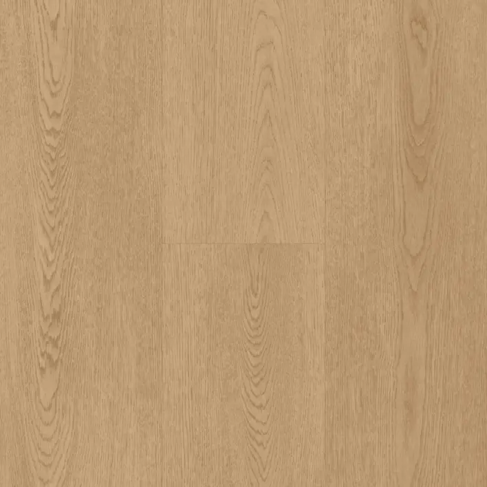 Vinyylilankku, Spirit Soul Glue, Eliza