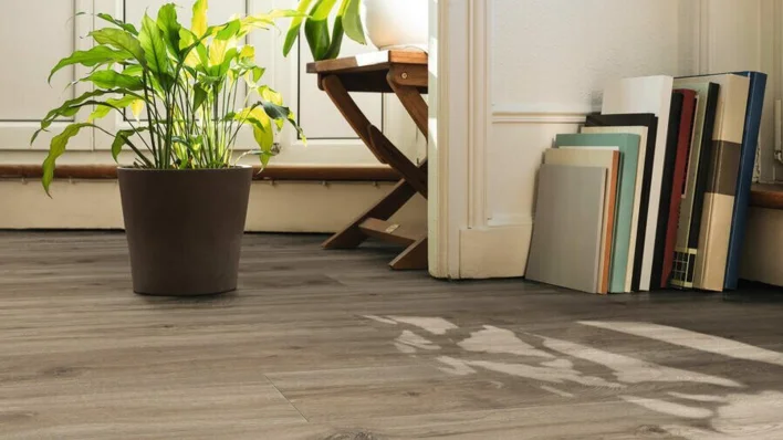 DISANO ClassicAqua Plankegulv XL - Eg Provence creme