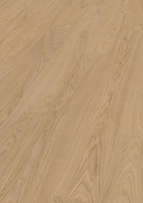 Hywood Classic, Oak Nordens Ark