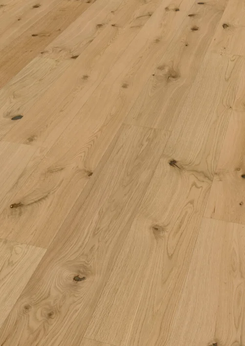 Hywood Classic, Oak Caledonian Forest