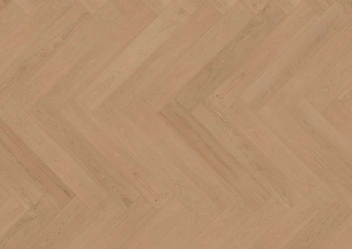 Hywood Kalanruoto, Oak Tayrona