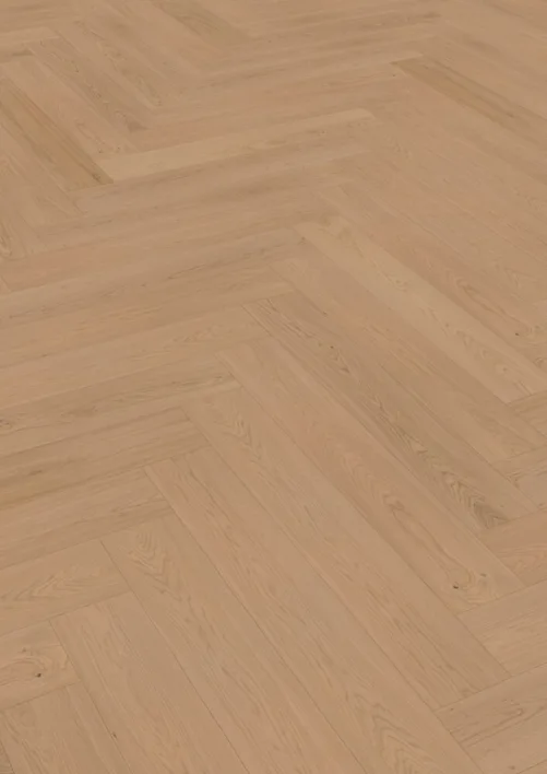 Hywood Kalanruoto, Oak Tayrona