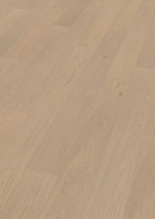 Hywood lankku, Oak Beat