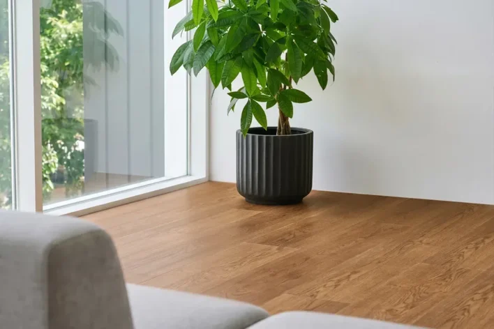 Nordheim Plank, 9586 Savustettu tammi