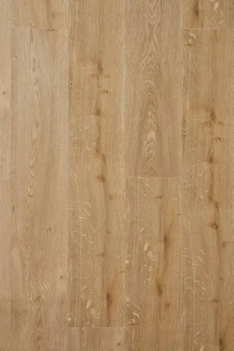 Nordheim Plank, 9576 Kultainen tammi