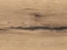 Haro laminaattilattia - lankkulattia, Tammi Italica creme