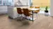 Laminaattilattia, Classic Edition, Oak French Bistro, Plank