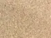 LVT vinylklik - Kingsize, Harmaa 901