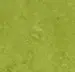 Marmoleum Fresco - Green