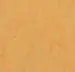 Marmoleum  Real - Golden Saffron