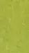 DLW Marmorette linoleumi, Lime Green