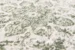 Green Border 8679