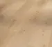 Parador vinyl Classic 2070 - Tammi Natural Mix vaalea harjattu rakenne, lankku