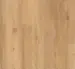 Parador Vinyl Basic 2.0 Plank - Tammi luonnollinen, Harjattu rakenne