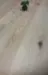 FloorMaster Herregårdsplank - Tammi, valkoinen, mattalakattu 220 mm.