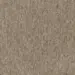 Bark