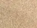 LVT vinylklik - Kingsize, Vaalea luonnonsävy - Sillinruoto 185