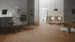 Sildeben Collection, Tammi Langeoog