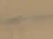 Haro lankkulattia - Tammi sand-harmaa Universal harjattu nL+
