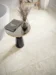 SPC-vinyylilukituslattia - P3021 Sandstone-laatta