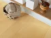 Pergo Lillehammer Sensation - Ambergrain Oak