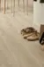 Timberman Novego vinyylilankku - Urban Grey Oak