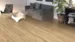 DISANO lankkulattia LifeAqua, Bjerglærk puro
