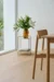 Nordheim Plank, 9588 Vaalea tammi