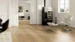 Light Collection, Oak Calvi lankku