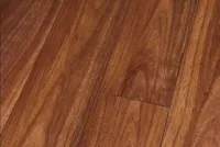 Canyon Koa Perfect Højglans