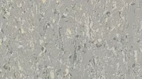 Gerflor Cosmo homogeeninen vinyyli - 2610 Silver