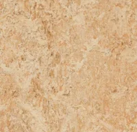 Marmoleum  Real - Shell