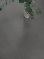 Trentino xf² - Grey Pepper