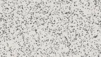 Tarkett iQ Surface, Contrast Airy