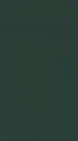 DLW Uni Walton linoleumi, Racing Green