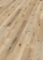 Ter Hürne, Friends Oak Carl, plank