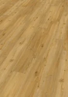 Ter Hürne, Friends Oak Conny, lankku