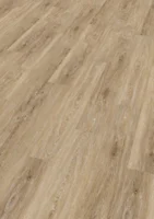 Ter Hürne, HDF - Friends Oak Vincent, lauta