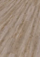 Ter Hürne, HDF - Friends Pine Selma, lankku