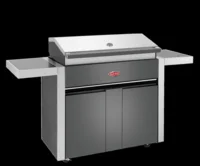 BeefEater - Discovery S1700, 5 poltinta