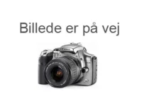 Djurs, Eg Rustik, harjattu valkoinen mattalakattu