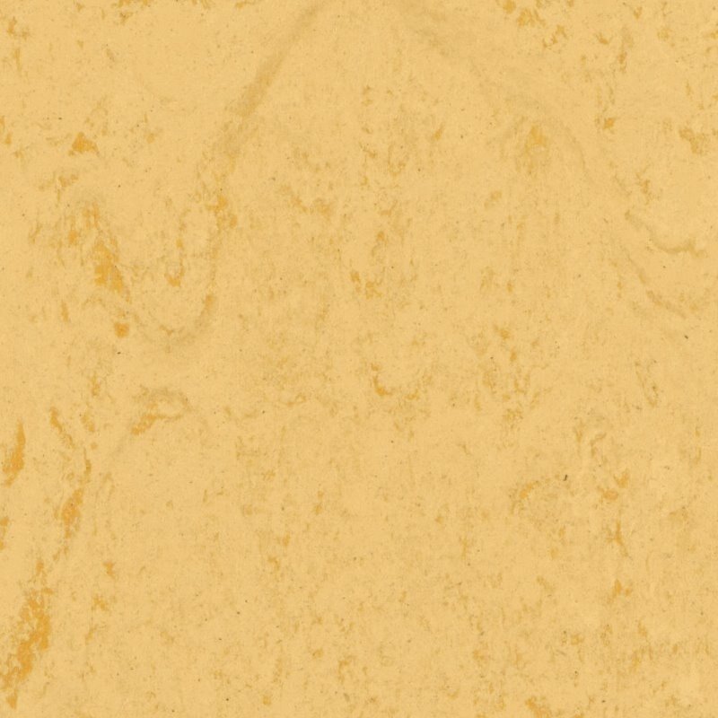 Tarkett Veneto xf² Corn
