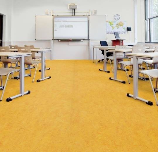 Marmoleum Real - Dandelion