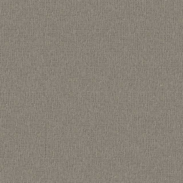 Interface Monochrome