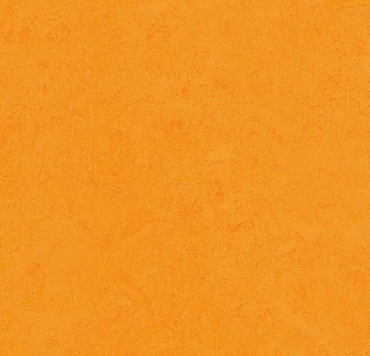 Marmoleum Fresco - Marigold