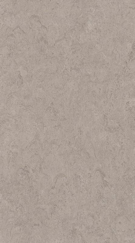 DLW Marmorette linoleumi, Shiitake-sieni